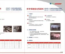 九游官网首页-progdvb中文版